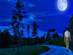 dạo bước đêm trăng