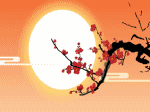 hoa đào ngày tết