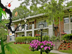 viện dưỡng lão nursing home ông già buồn ngồi trên xe lăn