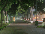 em đi bỏ lại con đường