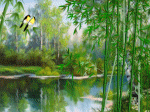 hồ thu tre trúc