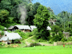 nấu cơm chiều