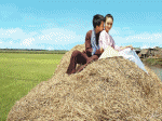 tâm tình trên đống rơm, cô dâu chú rể chèo thuyền, trái nhãn lồng