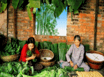 mẹ con gói bánh chưng, gái quê bên cầu, canh chua cá kho tộ