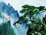 hạc bay, núi, thông, thác, chiều, hoàng hôn