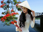 hè về, hoa phượng huế sông hương nhặt hoa phượng