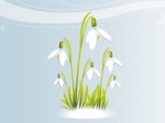 hoa giọt tuyết