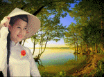 bông hồng cài áo