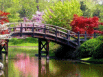 mùa xuân hoa đào bướm nho dâu
