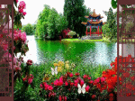 bướm trắng lượn trong vườn bên sông