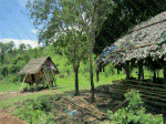 nhà sàn, sông khô, thuyền câu trong sương