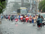 Sài gòn lụt khi mưa chặt cây xanh