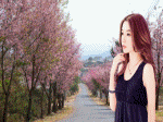 tết  hoa mai đào quất bánh mứt