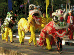 xuân tết slideshow