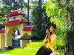 cô gái quê soi gương trang điểm, hoa hồng, bến đò