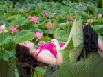 yếm thắm hoa sen, nấu cơm