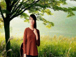 thôn nữ bên cánh đồng lau, chiều tà trong sương mờ trên hồ, lá phong bên hồ
