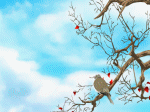 cây lá đầu mùa đông đến