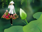 sen và gánh hàng hoa