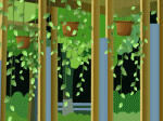 cô gái bên chậu hoa trong green house