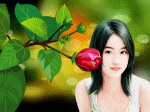 hoa bụp đỏ