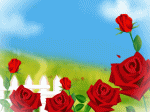 tặng nàng hoa hồng ngày valentine