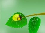Kén bướm
