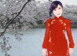 hoa rụng trên sông