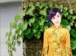 áo vàng bên dây leo