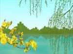 mai liễu bên hồ