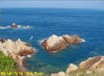Biển cà ná ninh thuận chim bay sóng