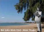 DH Ninh chữ