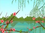 mai sen liễu