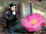cầu nguyện và sen hồng