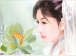sen trắng