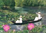 chèo xuồng trên hồ sen