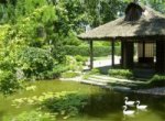vườn hoa nhật bản