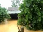 lụt tại miền trung tháng 10, 2010