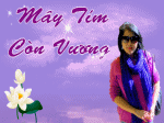 mây tím còn vương