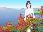 phượng và trường xưa