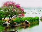phong cảnh quê hương
