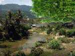 nhà thầy Trần Ngọc Qui