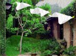 trời mưa trong sân nhà